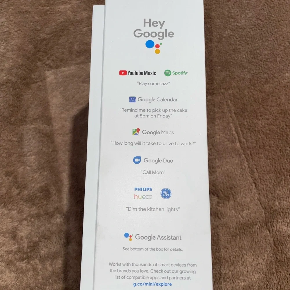 Google Nest Mini